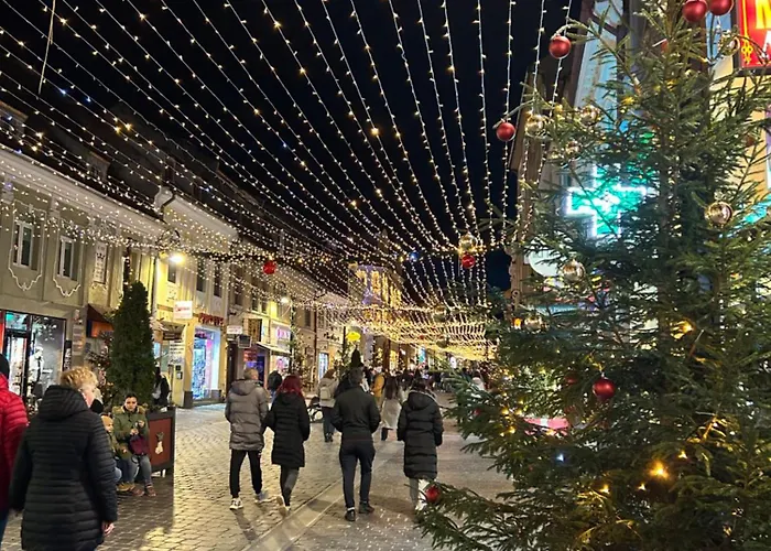 Apartment Haven Brasov